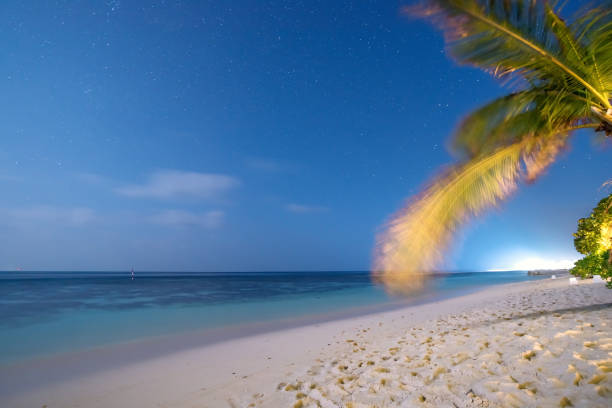 istock Tropical beach and sea in night 886595598