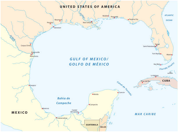 ilustraciones, imágenes clip art, dibujos animados e iconos de stock de mapa del golfo de méxico - bay