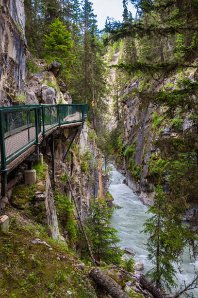 istock Walkway in Johnston Canyon, Bow Valley Parkway, Canada 886630986