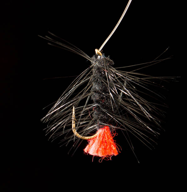 istock fly to catch fish on a black background 886639506