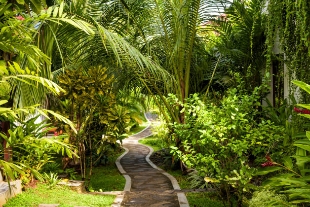 istock Natural landscaping in home garden 886642642