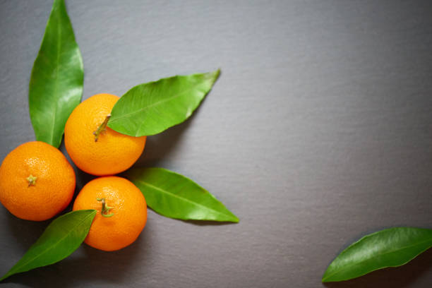 istock Tangerines with leaves on the slate background 886654086