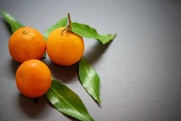 istock Tangerines with leaves on slate background 886654540