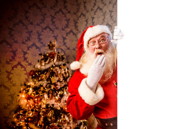 istock Santa Claus pointing on blank banner 886654904