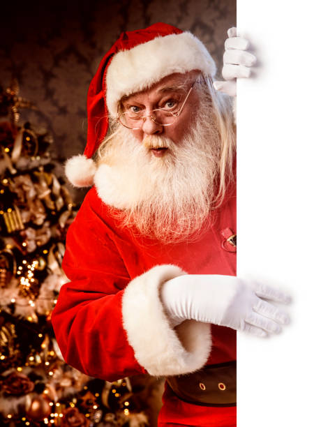 istock Santa Claus pointing on blank banner 886657500