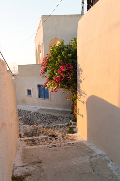 istock Narrow streets, Santorini 886661228