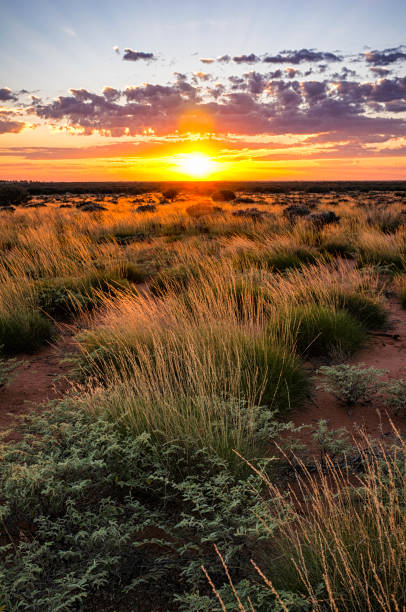 istock Dawn In The Australian Outback 886672414