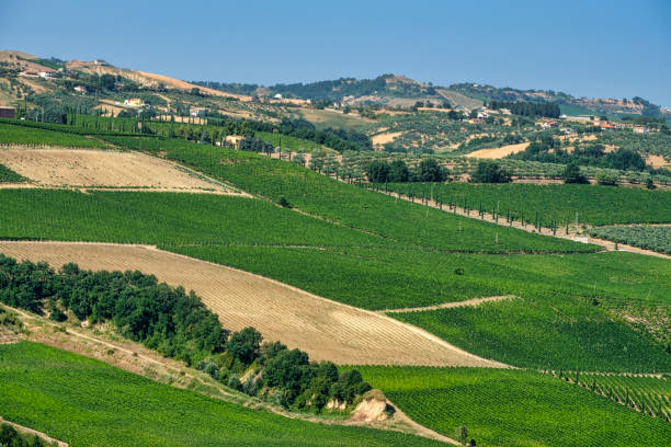 istock Landscape near Teramo (Abruzzi) at summer 886680036