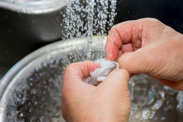 istock Baby Octopus (Jjukkumi) being Washed, ready for cooking 886680056
