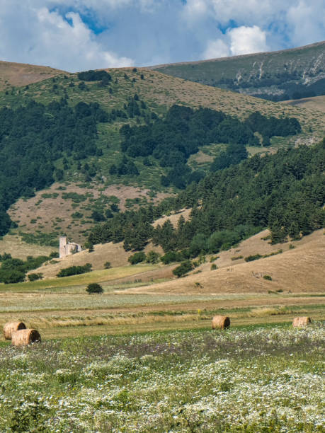 istock Mountain landscape in Abruzzi at summer 886680250