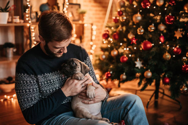 istock Handsome man holding puppy in front of a Christmas tree 886685760