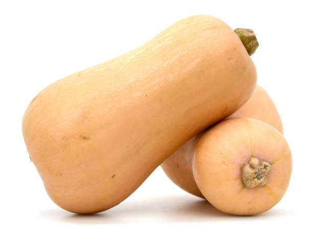 butternut squash isolated on the white background stock photo