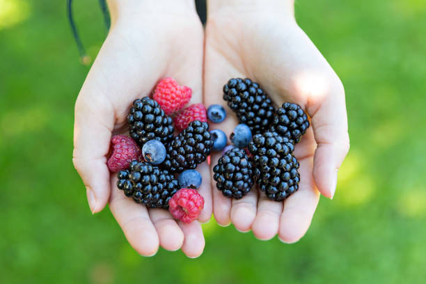 istock fresh berries from the garden 886692728