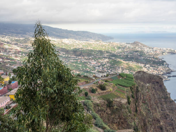 istock madeira in portugal 886693642