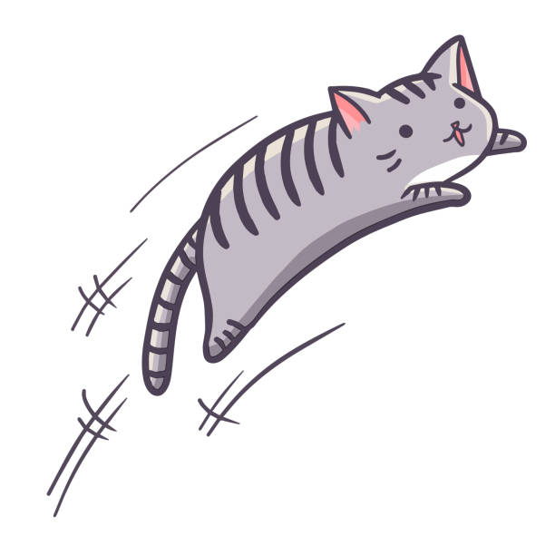 Grey cat jumping Cute and funny grey cat jumping - vector. cat jumping stock illustrations