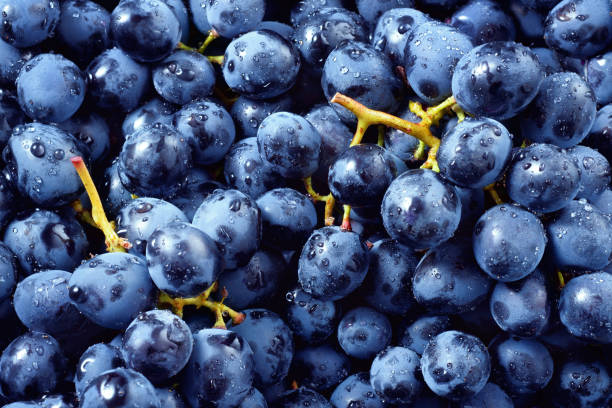 istock Grape background. Grape with drops. Macro. Food background. Dark grape. Blue grape. Wine grape. 886693910