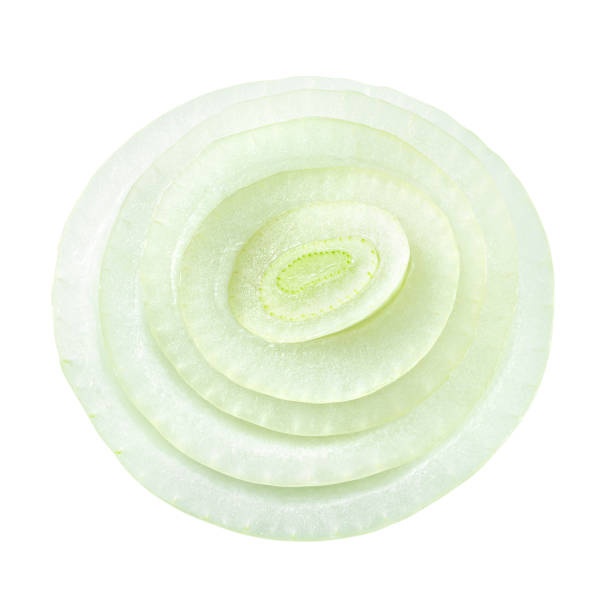 Onion slice isolated. Onion rings on white background. With clipping path.