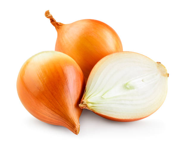 Onion bulbs isolated. Onion on white background. With clipping path. Full depth of field. Onion bulbs isolated. Onion on white background. With clipping path. Full depth of field. onion photos stock pictures, royalty-free photos & images
