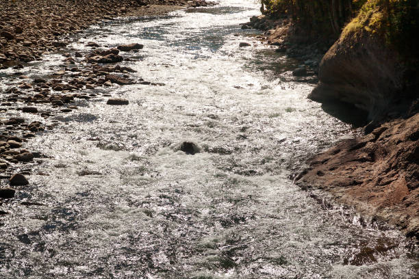 istock Sunlit whitewater of mountain river 886697872
