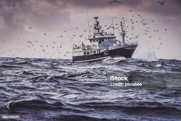 Photo libre de droit de Bateau De Pêche En Mer Agitée De Nord banque d'images et plus d'images libres de droit de Chalutier - Chalutier, Bateau de pêche, Norvège