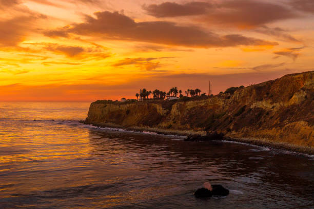 istock Point Vicente Lighthouse in California, USA 886708376