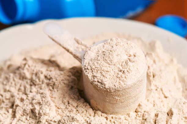 proteína de vainilla en polvo - protein concentrate fotografías e imágenes de stock