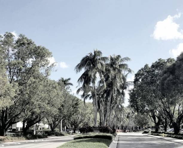 istock Urban City Street 886725560