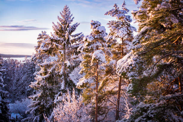 istock Scenic peaceful Scandinavian winter landscape. 886726346