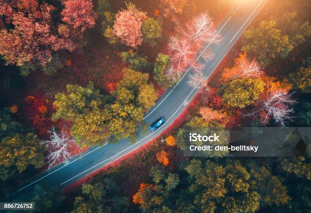 Luftaufnahme Von Straße Mit Unscharfen Auto Im Herbstlichen Wald Bei Sonnenuntergang Erstaunliche Landschaft Mit Feldweg Bäume Mit Rot Und Orange Lässt Im Tag Autobahn Durch Den Park Draufsicht Von Fliegenden Drohne Natur Stockfoto und mehr Bilder von Herbst