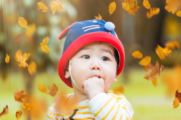 istock Baby boy in the autumn park 886729606