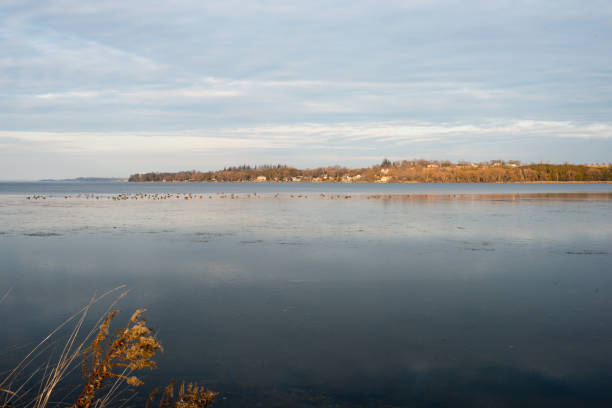 istock Flock of Canada geese on thin ice on the lake facing sunset 886733676