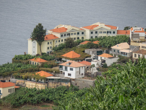 istock madeira in portugal 886746538