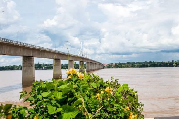 istock Trees, rivers and bridges are beautiful views. 886747100