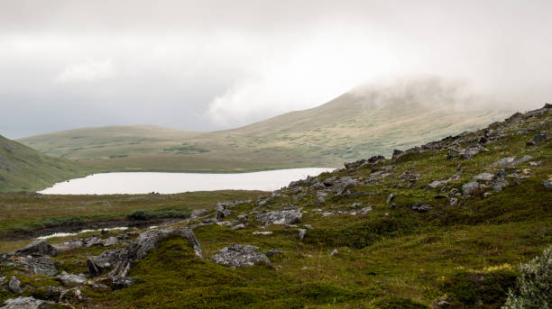 istock Stony hills in summer, Soroya island, Norway 886747474