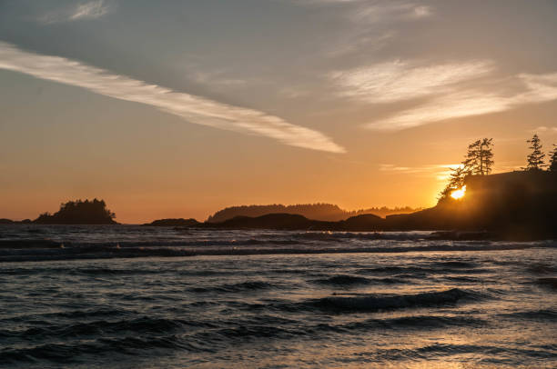 istock Tofino Pacific Rim National  Park 886758786