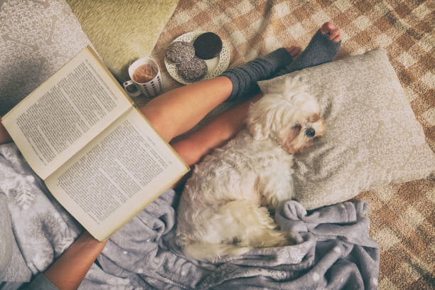 istock Woman lying on bed with dog 886765084