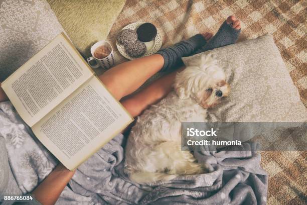 Woman Lying On Bed With Dog Stock Photo - Download Image Now - Hygge, Reading, Dog