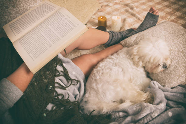 istock Woman lying on bed with dog 886765478