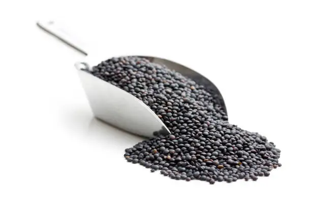 Beluga. Black lentil in scoop on white background.
