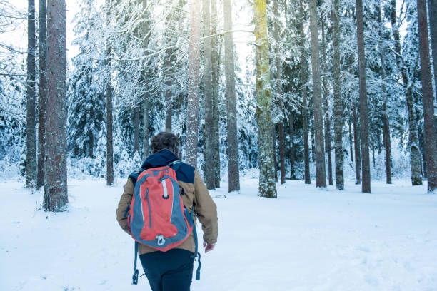istock Senior Mountaineer in Alps, Winter Forest 886772836