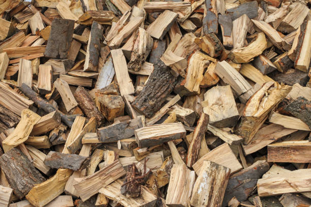 istock several pieces of wood as fuel 886783232