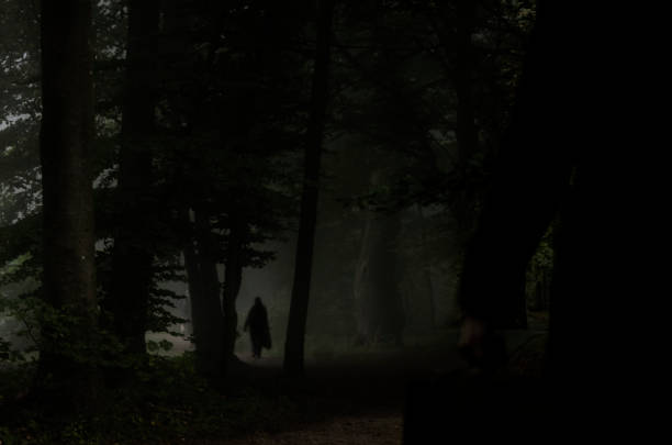 istock Nordic Noir, Man in the dark Scandinavian forest 886785862