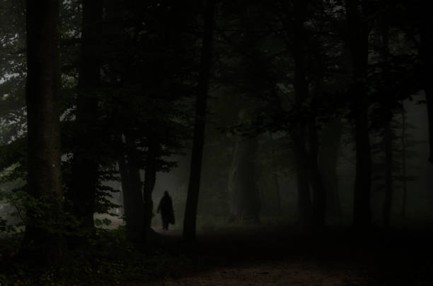 istock Nordic Noir, Man in the dark Scandinavian forest 886785960