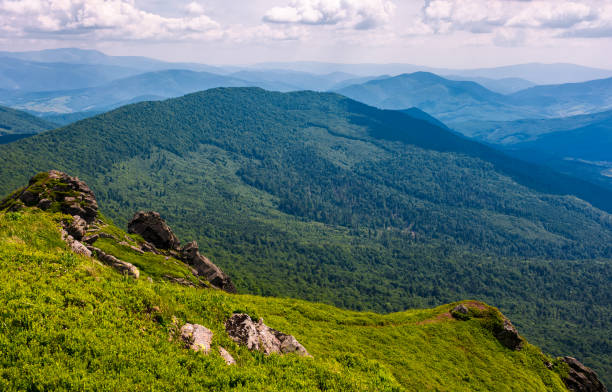 istock grassy slope with huge boulders 886796444