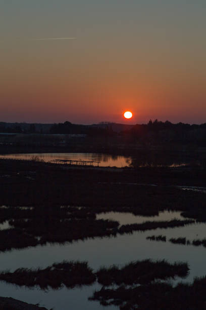 istock first sunrise of 2015 in the Camargue 886797398