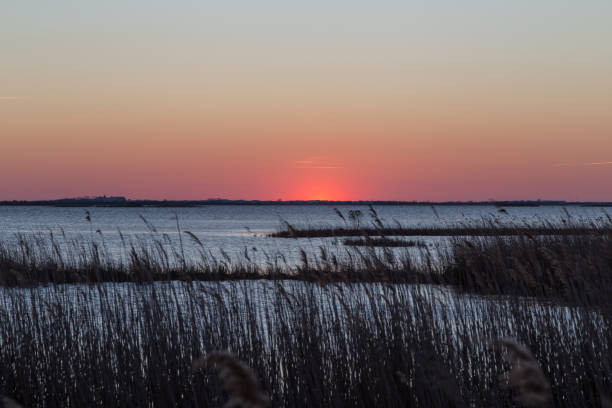 istock sunset in the Camargue 886797468