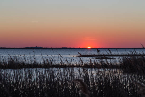 istock sunset in the Camargue 886797470