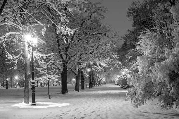 istock Winter city park in evening. 886797928