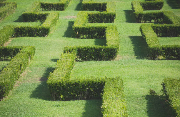 istock Labyrinth in park in the summer. 886800616
