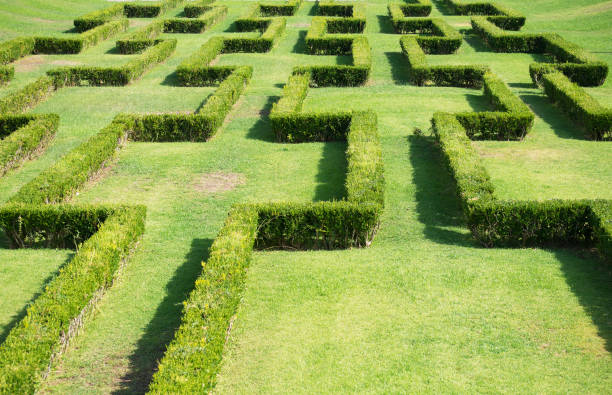 istock Labyrinth in park in the summer. 886800626